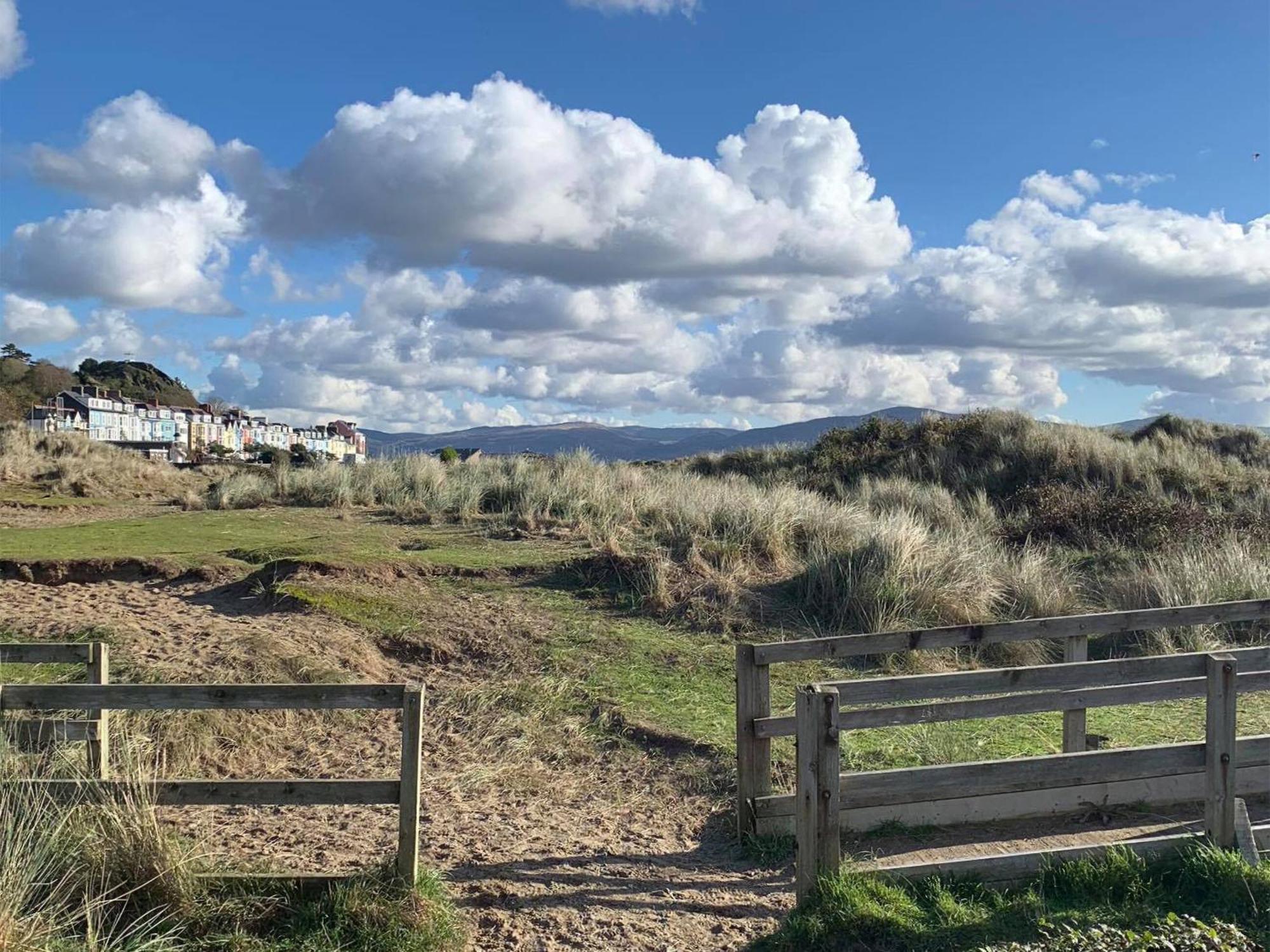 Willa Driftwood Aberdyfi Zewnętrze zdjęcie